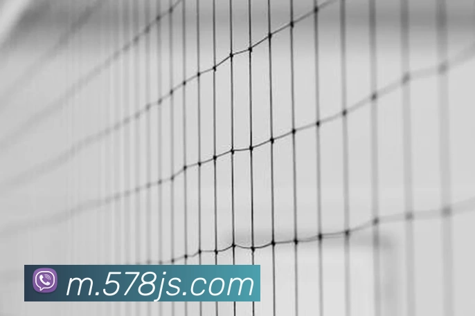 App功能展示图